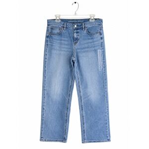 American Eagle Low Rise Classic Straight Jeans Size 10 Regular Medium Wash Rigid